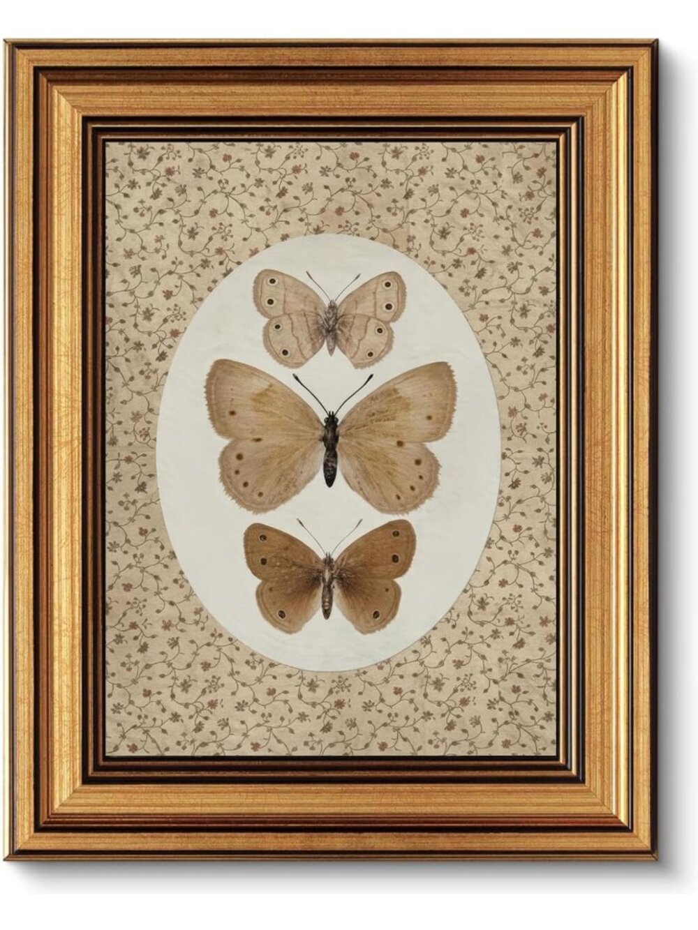 Vintage Gold Framed Butterfly & Moth Canvas Wall Art, 12x16" Home Decor